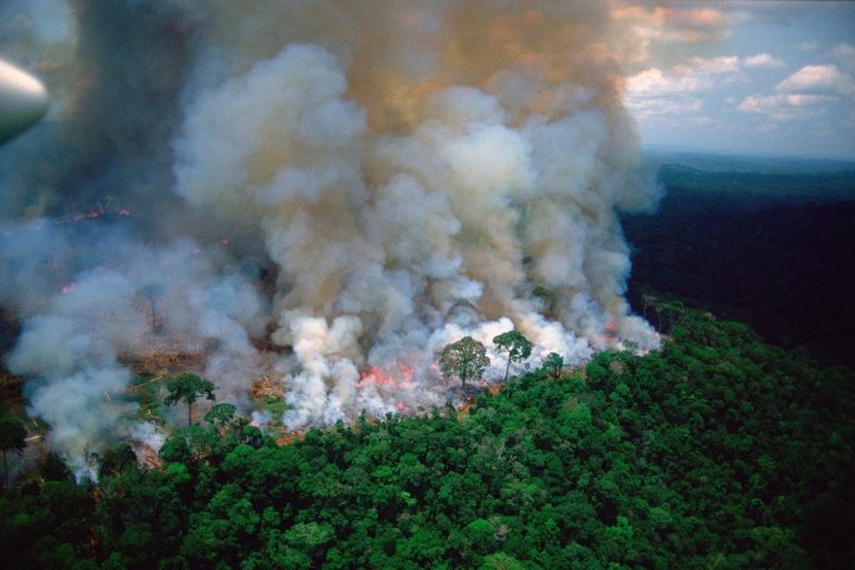 Amazzonia boliviana, il governo permette che bruci