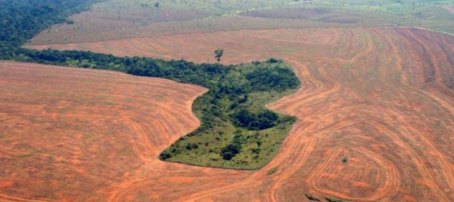 La deforestazione dell’Amazzonia brasiliana e la legalizzazione del ‘garimpo’